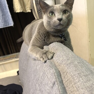 の写真