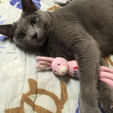 の写真