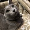 の写真