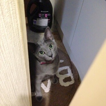 の写真