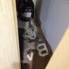 の写真
