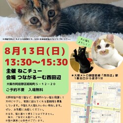 ねこチュー第18回猫の譲渡会