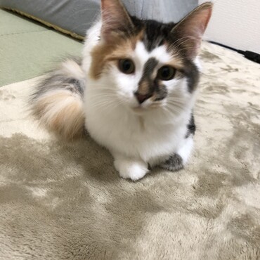 の写真