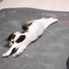 の写真