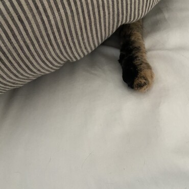 の写真