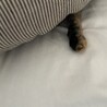 の写真