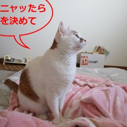 「4号通信⑪ 故郷 離れて2年目」サムネイル2