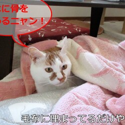 「4号通信⑪ 故郷 離れて2年目」サムネイル3