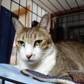お尻ポンポン大好きな性格いちおしの平松キッドくん