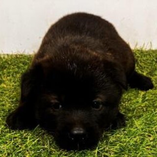 一般譲渡優先期間　8/3迄！