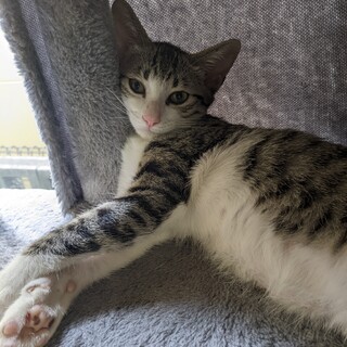 かなり綺麗なお顔立ち！