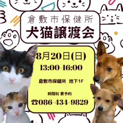 倉敷市保健所　収容犬猫譲渡会