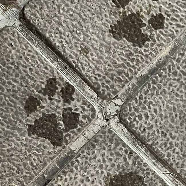 マーサーーのカバー写真