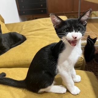 甘えん坊ーイ⭐︎豆豉くん