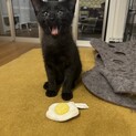 わくぱん甘えんボーイ⭐︎トロロ君