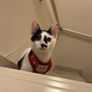 〝すみ君〟です♪