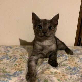 口元ぷっくり♡ビーチちゃん