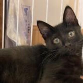 愛らし男子　よう君！3ヶ月