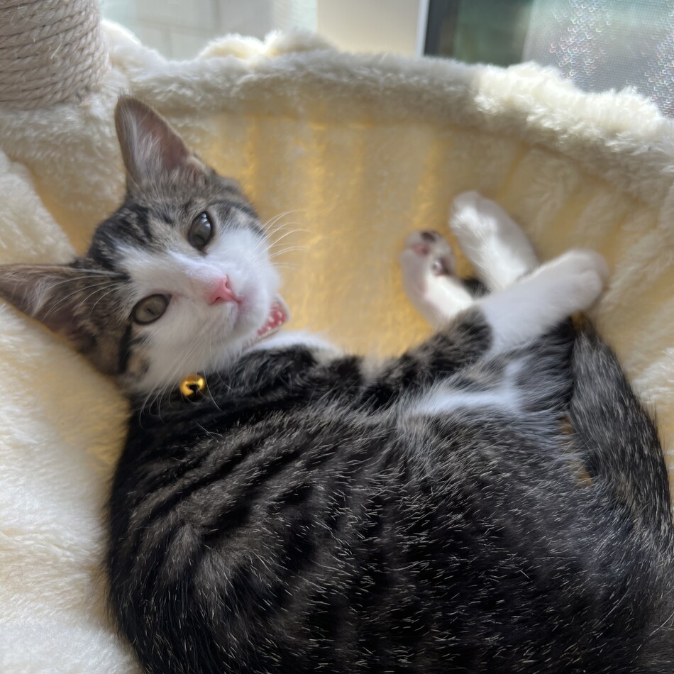 みすずのカバー写真