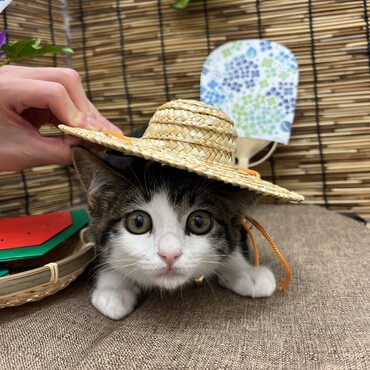 初めての動物病院