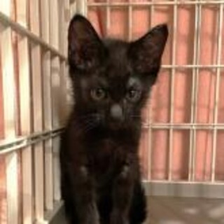 元気一杯～でも穏やか！ひろと君（2ヶ月）