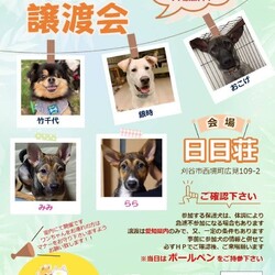 保護っ子基金　8月譲渡会（刈谷市）