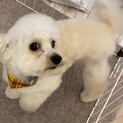 くうですっ
