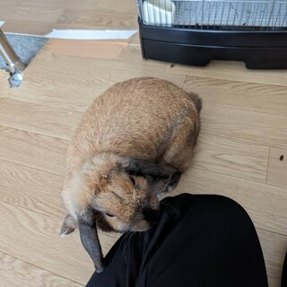 ありがとうございます。決まりました