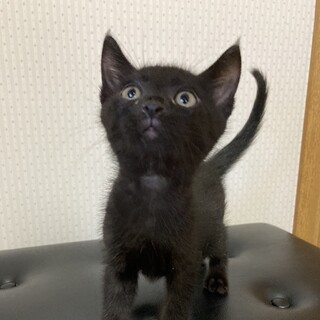 とっても元気な男の子☆りょうくん