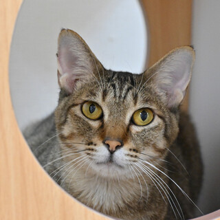 デビュー：ひと大好きな構ってちゃん