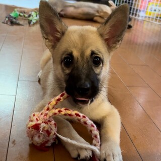 くっきりアイラインと鼻黒が魅力【花火ちゃん】3ヶ月