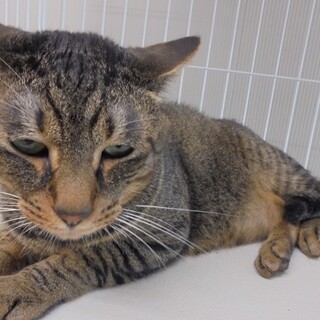 ボク、たくさん甘えたいんだ！