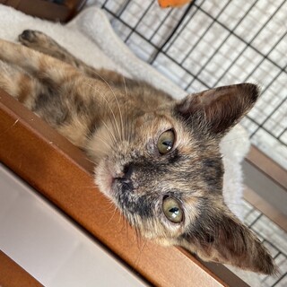 ちょっとおブスが可愛い❣️性格の良いぼたﾁｬﾝ