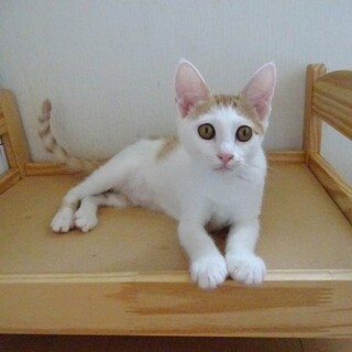 愛らしいブサかわ女の子????