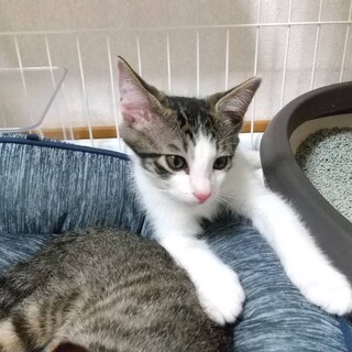 〝まーくん〟です♪