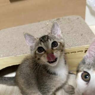 〝ゆみちゃん〟です♪