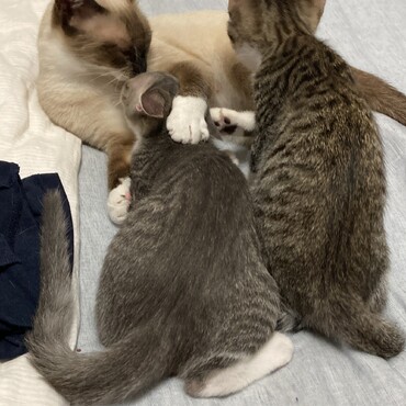 大きくなったね〜