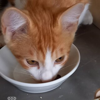 〝チッ太君〟です♪