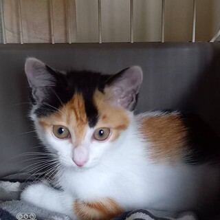 〝姫子ちゃん〟です♪