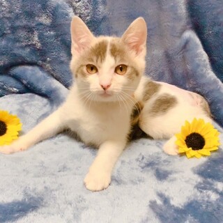 【8/6東銀座】あんよちゃん3ヵ月♪