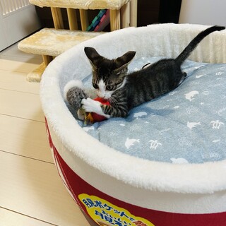 4ヶ月くらいの男の子