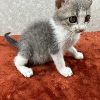 兄弟いつでも元気一杯❗️パワー全開❗️ゆず