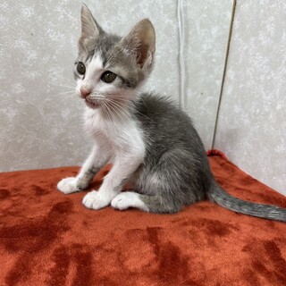 四兄弟いつでも元気一杯❗️パワー全開❗️ブンタン