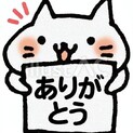 離乳期の保護こねこ★大阪府だいちゃんになりました
