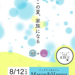 とだニャン保護猫里親会