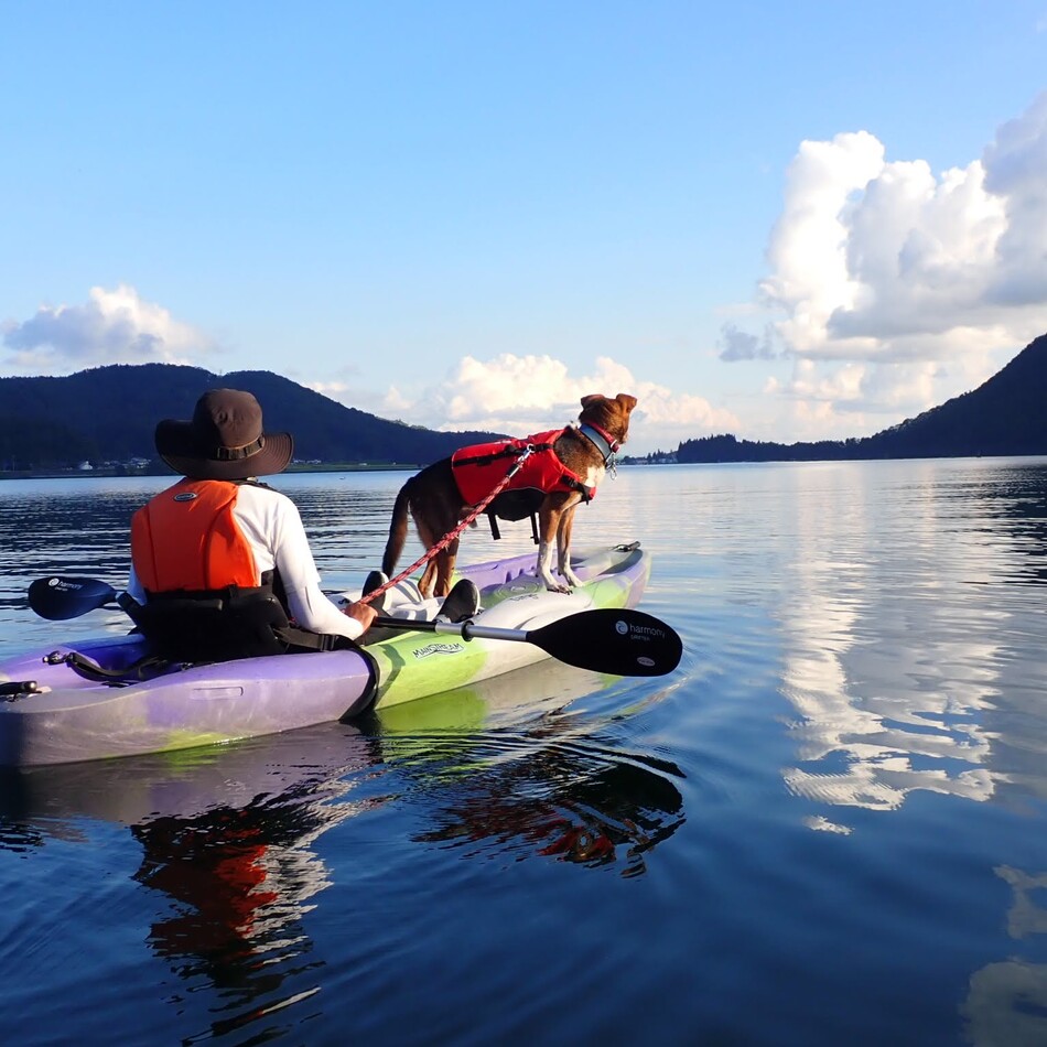 J（ジェット）・グールドのカバー写真