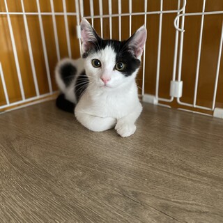 ♦︎おっとりイオンくん♦︎