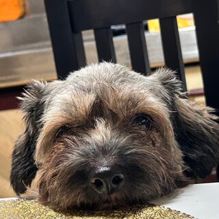 おかげさまでお嫁に行きました