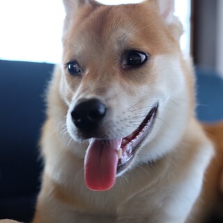 元気いっぱい！イケメン春くん！