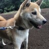 すずきくう